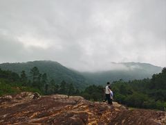 -广州白江湖森林公园