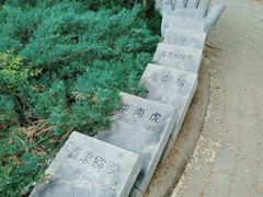 -北京麋鹿生态实验中心