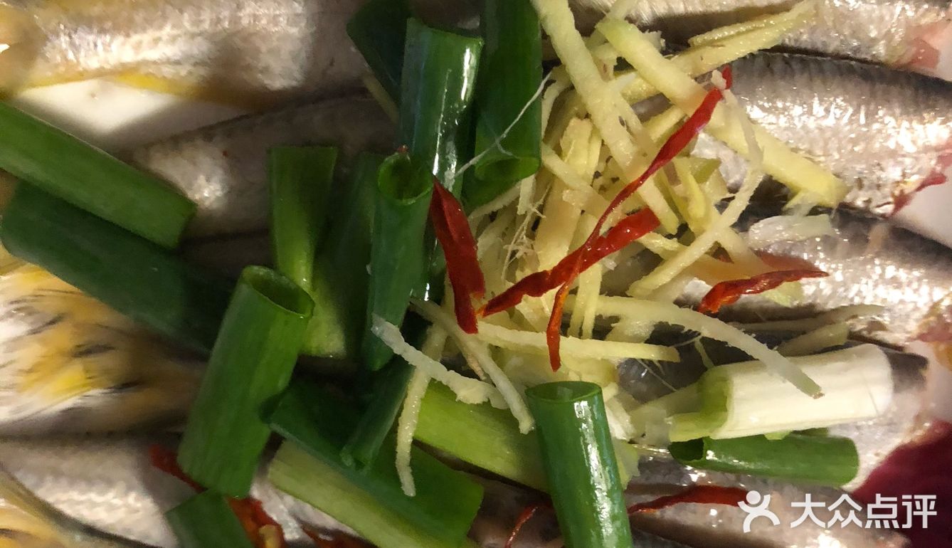 限定季～海刀鱼🐟