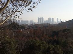 android_upload_pic-西湖风景区-江洋畈生态公园
