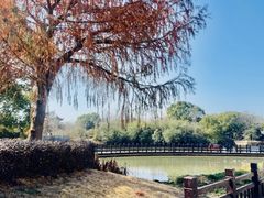 -韩湘水博园