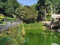 -青礁慈济宫