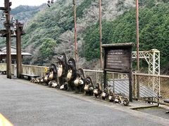 -岚山嵯峨野观光小火车