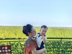 -黄海国家森林公园