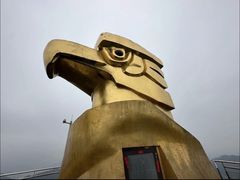 -大金鹰园
