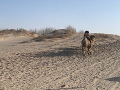 -库伦旗银沙湾旅游景区