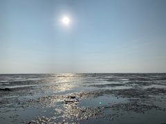 -北海金海湾红树林生态旅游区