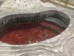 -龙达温泉生态城