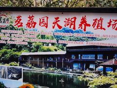 -茗荔园农庄(大涌店)