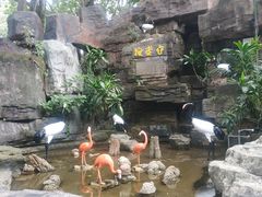 -紫马岭公园