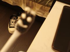 -食膳公园包子铺(烈士公园店)