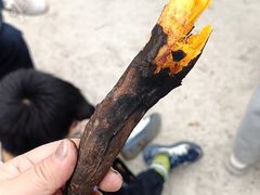 -西部长青自然儿童乐园