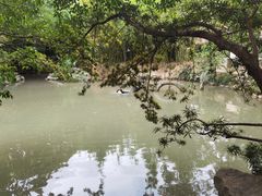 -汇龙潭