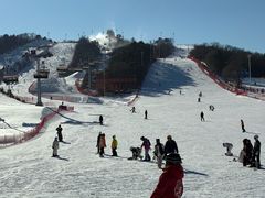 -东北亚滑雪场