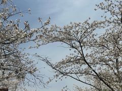 -西郊国际农产品交易中心