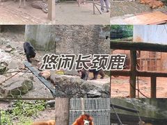 -杭州动物园