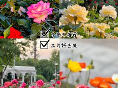 -睦南公园