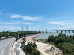 -宝安西湾红树林湿地公园