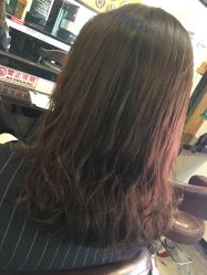 -镁连社·美联社