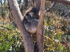 -威勒比开放式动物园