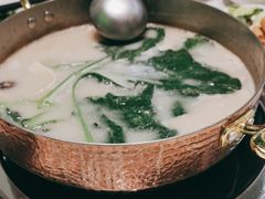 -洪氏嗨捞·广东猪肚鸡·椰子鸡火锅(西咸万象城店)
