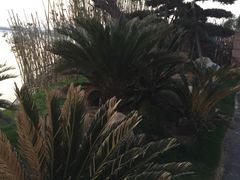 -艾溪湖湿地公园