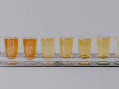-The BREW·酿餐厅(浦东嘉里大酒店)