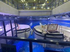 -成都浩海立方海洋公园