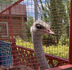 -萌宠亲子动物乐园(槐房万达店)