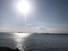 -东郊椰林
