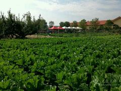 -意大利农场度假村