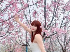 -梁鸿国家湿地公园