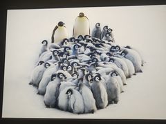 -罗红摄影艺术馆