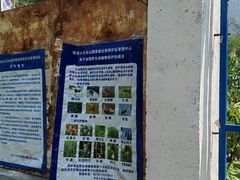 -小五台金河景区