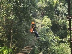 -西双版纳原始森林公园