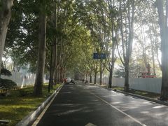 -河南省黄河迎宾馆
