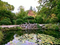 -维乐口腔医院(福清院)
