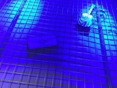 -美滋滋尚鱼烤鱼餐厅(空港店)