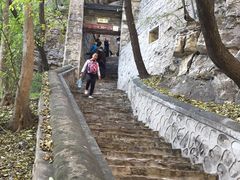 -北京上方山国家森林公园