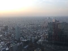 -东京都厅舍