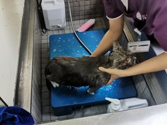 -宠颐生动物医院·小陆分院