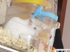 -秦香记凉皮肉夹馍(天城商业中心店)
