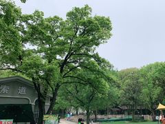 -WeLope紫金山探险公园