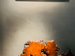 -觀芷隐轩·宋宴(河坊街店)
