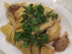 湛江大扇鸡-金苑海鲜酒家(新港中路店)