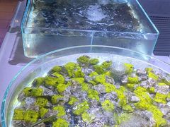 -聚盛源蒸汽海鲜火锅烤肉自助(巨川金海岸购物广场店)