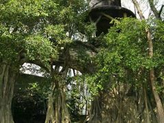 -Club Med地中海俱乐部·桂林度假村