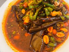 凉拌茄子-廖老妈蹄花(中海国际店)