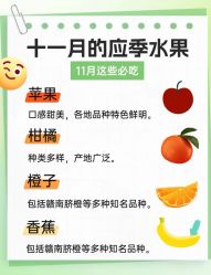 -Fundi张玉珊修身堂·indiba·BTL科技瘦身