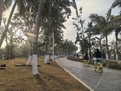 -万绿园